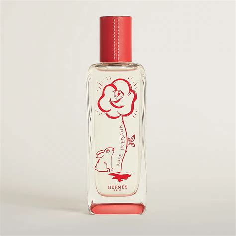 rose ikebana perfume